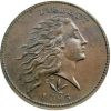 Flowing Hair Large Cent For Sale